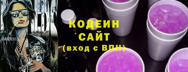 индика Медвежьегорск