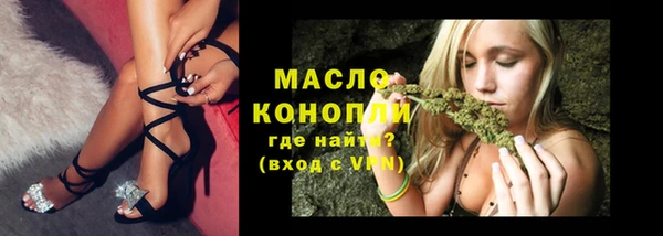 индика Медвежьегорск