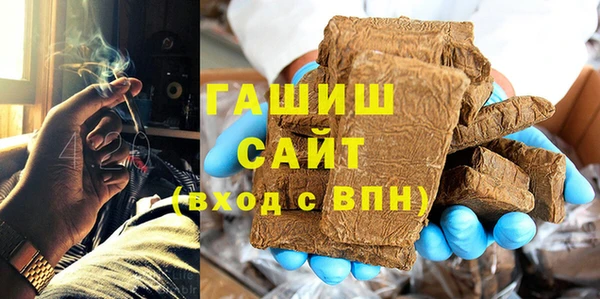 индика Медвежьегорск