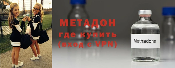 индика Медвежьегорск