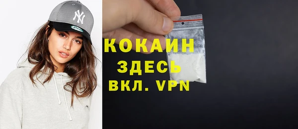 индика Медвежьегорск