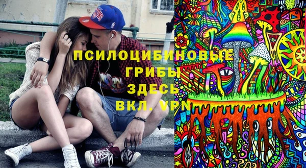 альфа пвп Медногорск