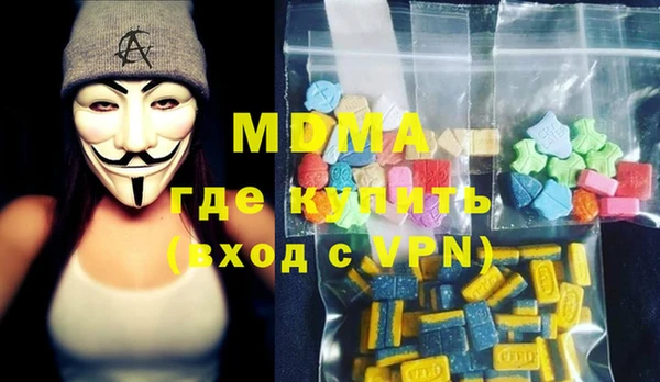 индика Медвежьегорск