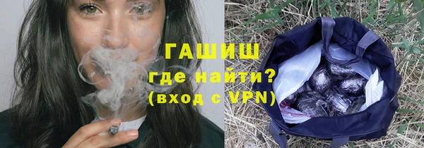 индика Медвежьегорск