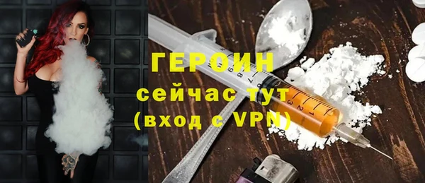 индика Медвежьегорск