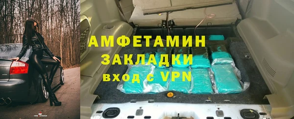 индика Медвежьегорск