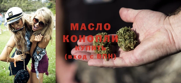 индика Медвежьегорск