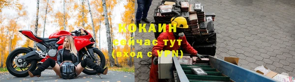 индика Медвежьегорск