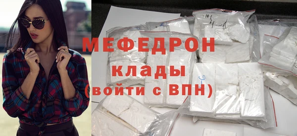 индика Медвежьегорск
