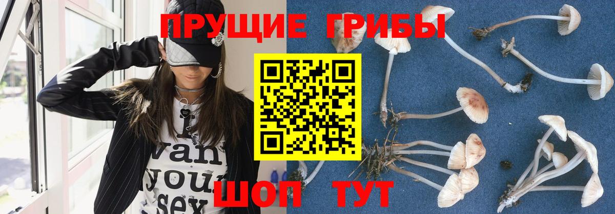 Псилоцибиновые грибы ЛСД Фролово