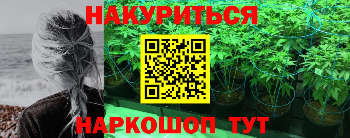 Бошки Шишки тримм  МАРИХУАНА ГИДРОПОН  МАРИХУАНА VHQ  Фролово  Вход с VPN 